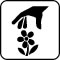 Pictogram Blomsterpluk